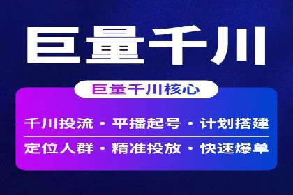 谷歌竞价广告的实时监控与调整策略——某公司经验分享